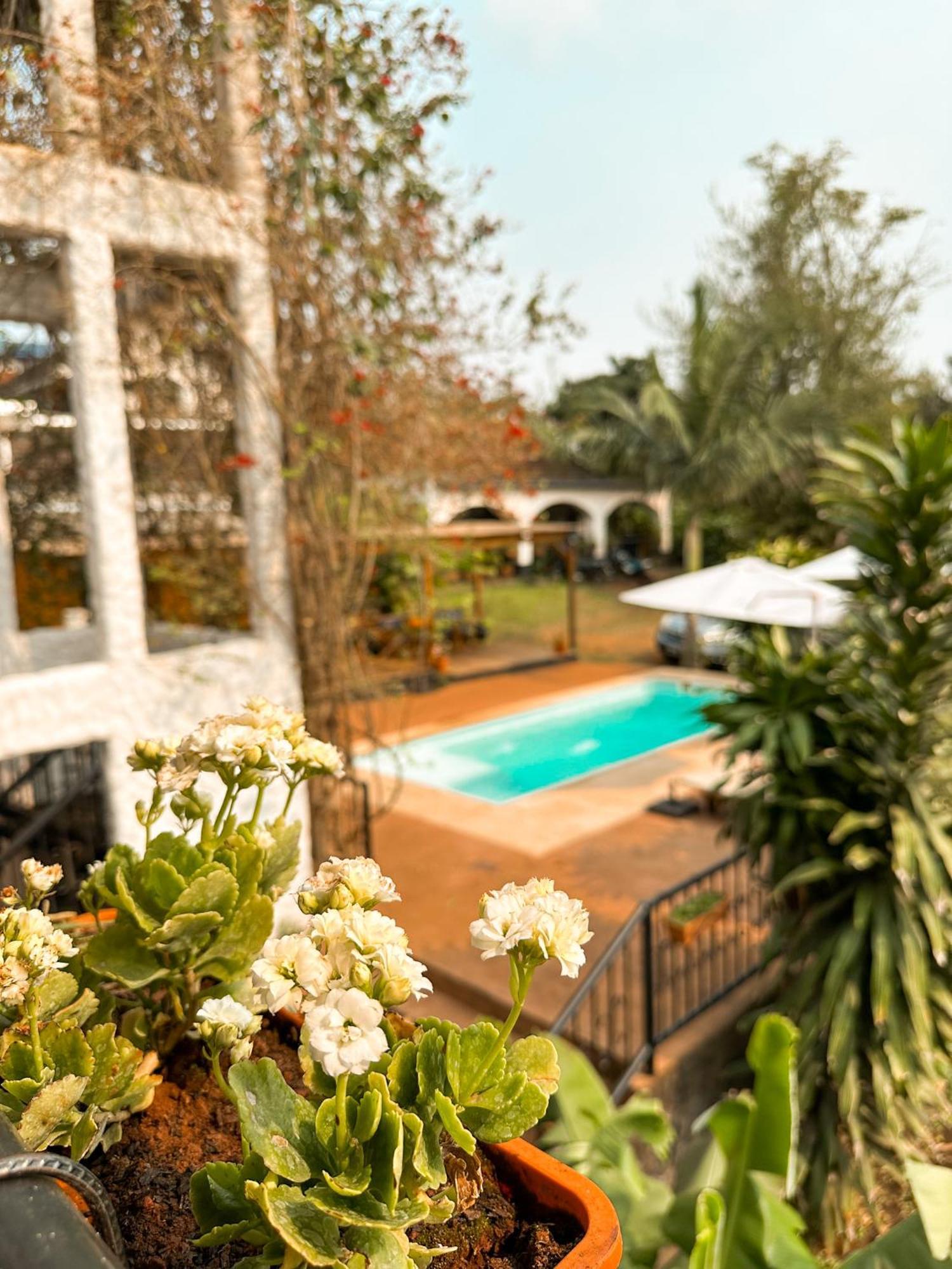 Mediterráneo Apartahotel *