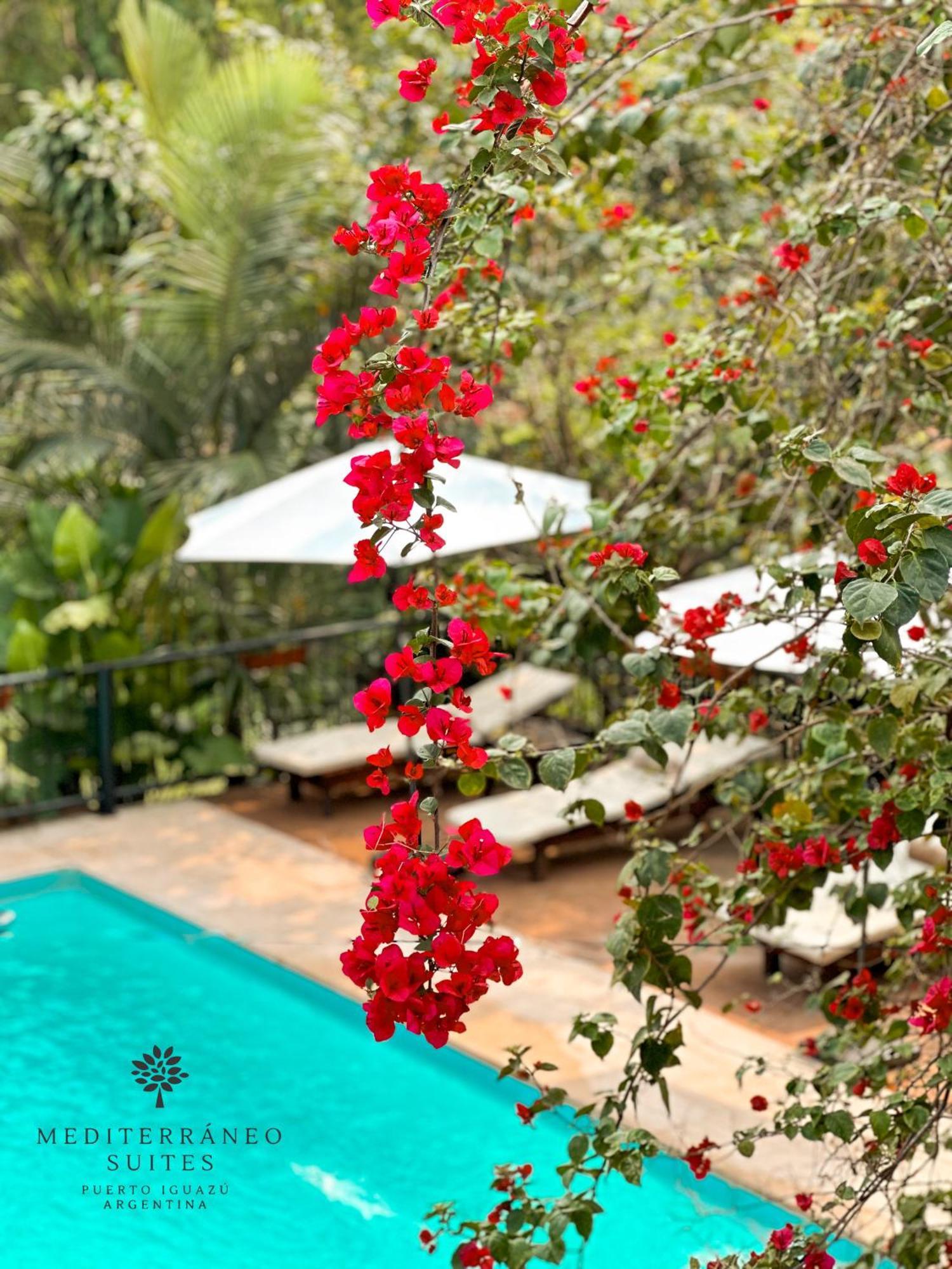 Mediterráneo Apartahotel Puerto Iguazú
